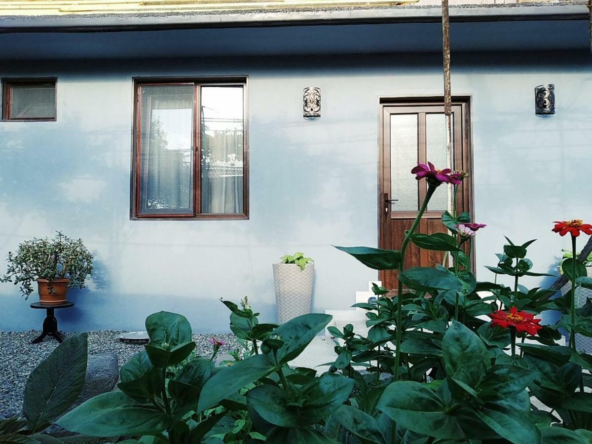 Rudolf Apartman Borzsomi Kültér fotó